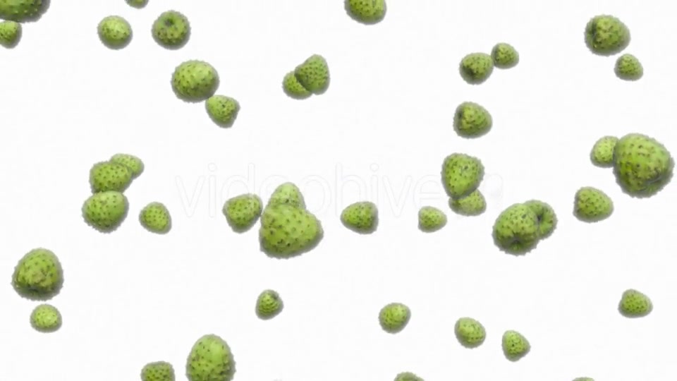 Infinite Rain of Custard Apples on White - Download Videohive 19471140