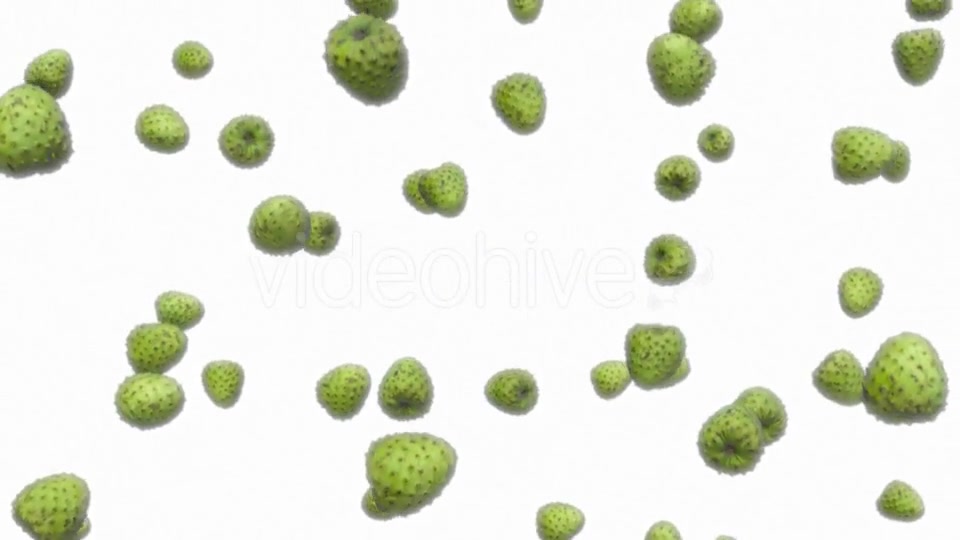 Infinite Rain of Custard Apples on White - Download Videohive 19471140