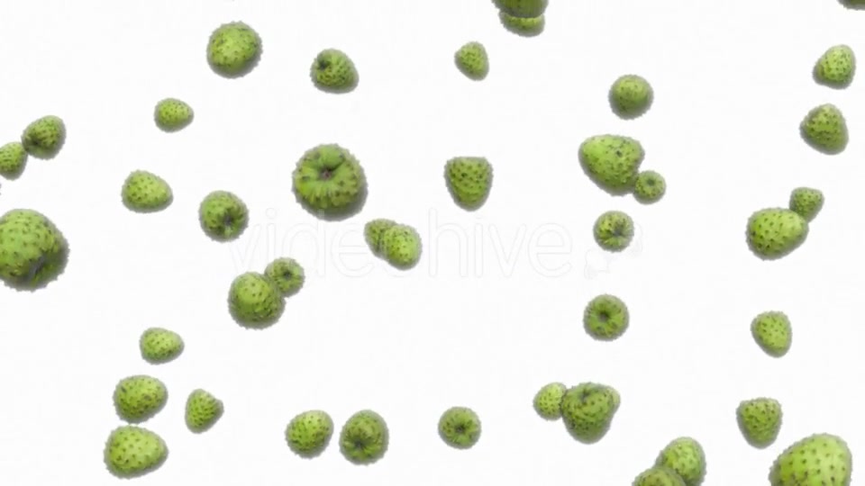 Infinite Rain of Custard Apples on White - Download Videohive 19471140