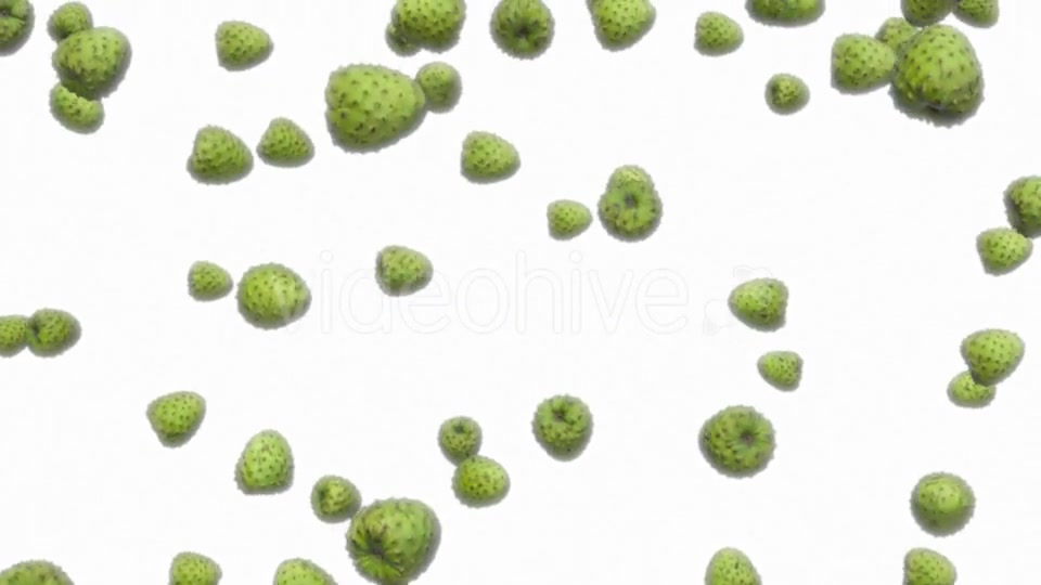 Infinite Rain of Custard Apples on White - Download Videohive 19471140