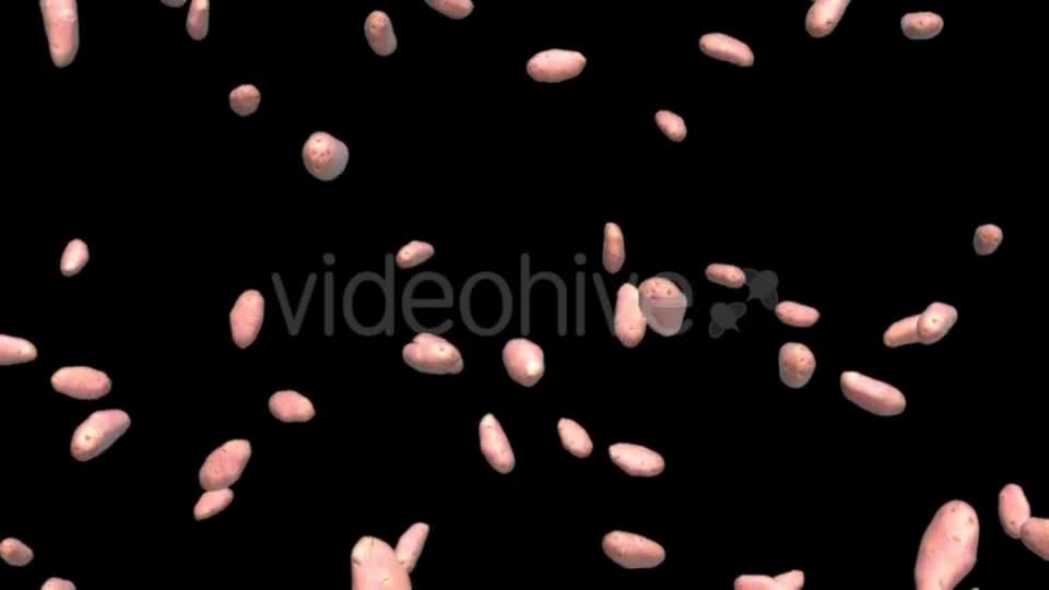 Infinite Rain of Potatoes on Black - Download Videohive 19471775