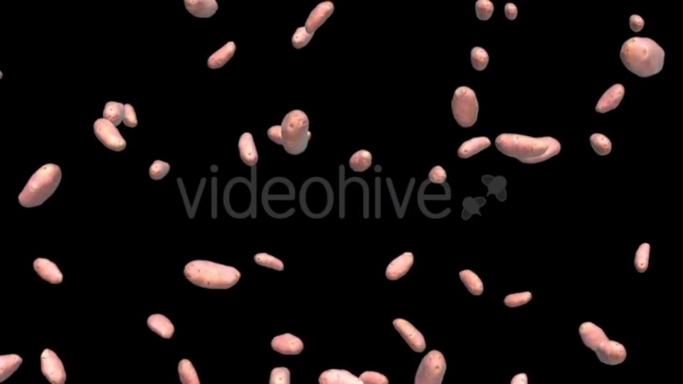 Infinite Rain of Potatoes on Black - Download Videohive 19471775