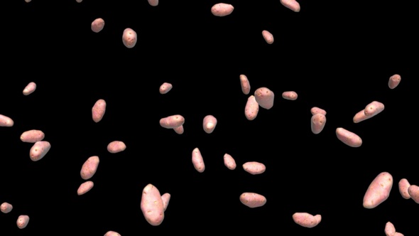 Infinite Rain of Potatoes on Black - Download Videohive 19471775