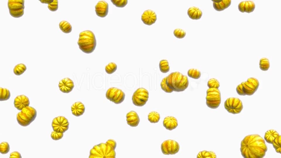 Infinite Rain of Sweet Dumpling Squash on White - Download Videohive 19471817