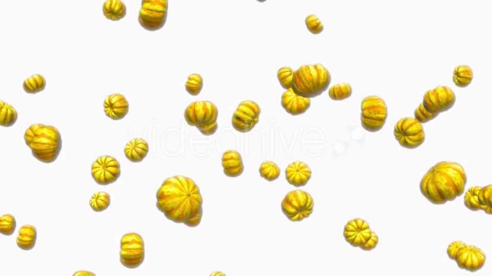 Infinite Rain of Sweet Dumpling Squash on White - Download Videohive 19471817