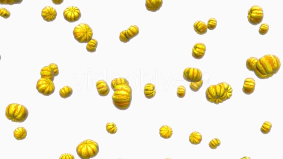 Infinite Rain of Sweet Dumpling Squash on White - Download Videohive 19471817