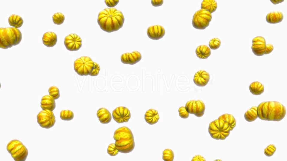 Infinite Rain of Sweet Dumpling Squash on White - Download Videohive 19471817