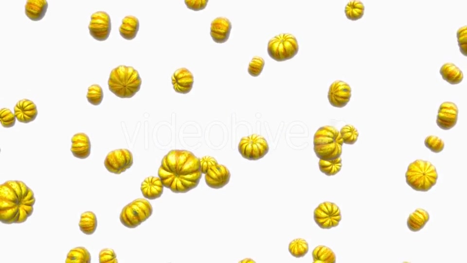 Infinite Rain of Sweet Dumpling Squash on White - Download Videohive 19471817