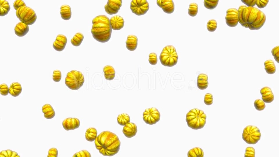 Infinite Rain of Sweet Dumpling Squash on White - Download Videohive 19471817