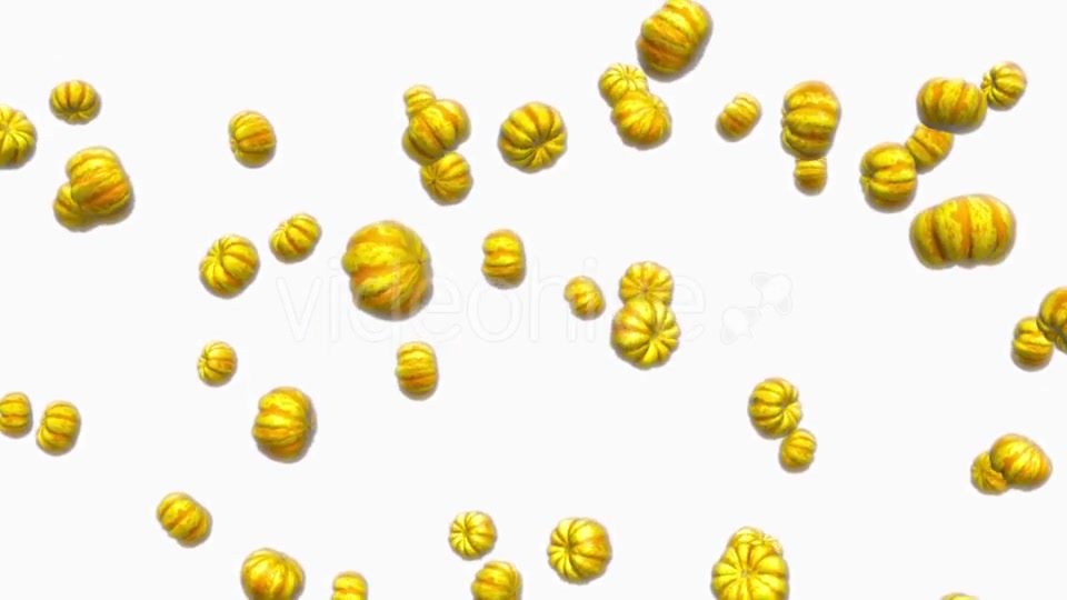 Infinite Rain of Sweet Dumpling Squash on White - Download Videohive 19471817