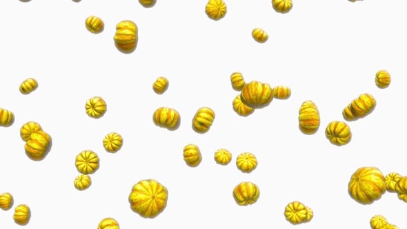 Infinite Rain of Sweet Dumpling Squash on White - Download Videohive 19471817