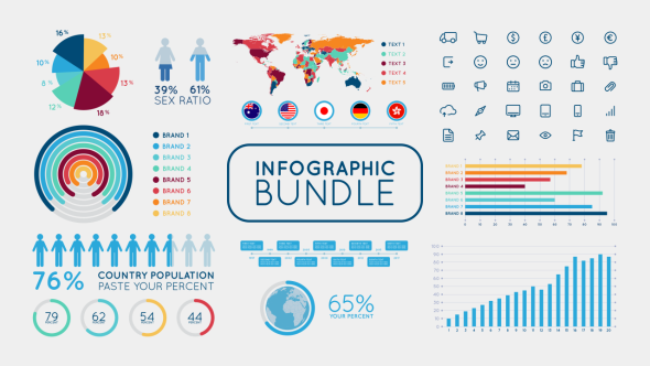 Infographic Bundle - Download Videohive 20430619