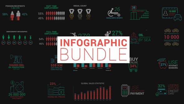 Infographic Bundle - Download Videohive 22806624