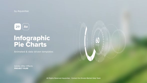 Infographic Pie Charts - 39699110 Download Videohive