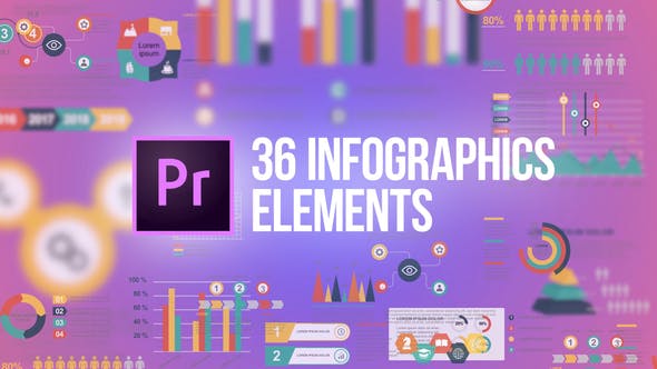 Infographics - 24004315 Download Videohive