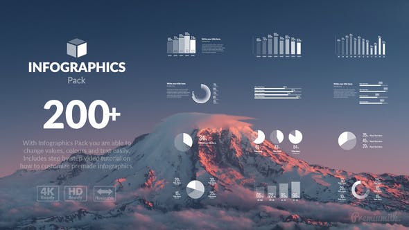 Infographics Pack - Download 21573990 Videohive