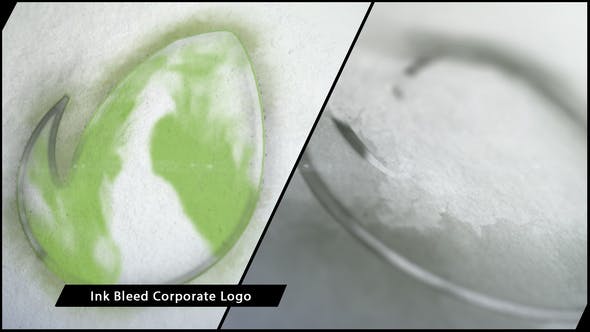Ink Bleed Corporate Logo - Download 13368103 Videohive