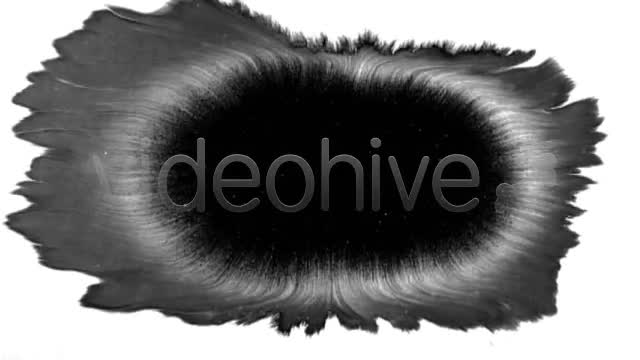 Ink Blot / Splat Series of 10 High Quality videos  Videohive 131922 Stock Footage Image 1