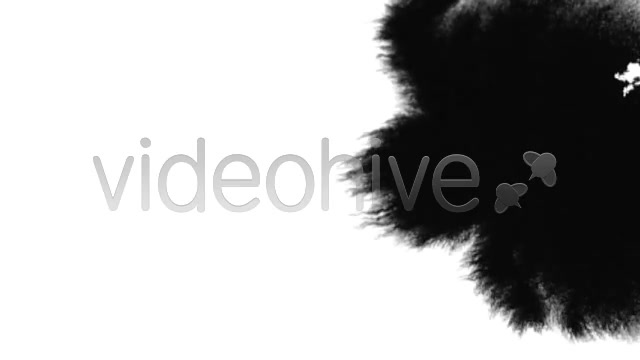 Ink Blot / Splat Series of 10 High Quality videos  Videohive 131922 Stock Footage Image 10