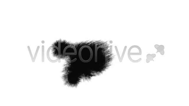 Ink Blot / Splat Series of 10 High Quality videos  Videohive 131922 Stock Footage Image 11