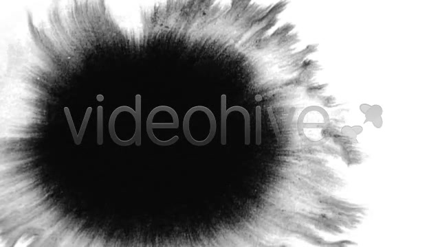 Ink Blot / Splat Series of 10 High Quality videos  Videohive 131922 Stock Footage Image 12
