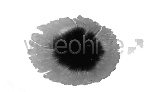 Ink Blot / Splat Series of 10 High Quality videos  Videohive 131922 Stock Footage Image 2
