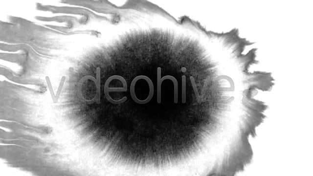 Ink Blot / Splat Series of 10 High Quality videos  Videohive 131922 Stock Footage Image 3