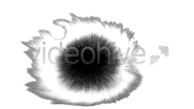 Ink Blot / Splat Series of 10 High Quality videos  Videohive 131922 Stock Footage Image 4