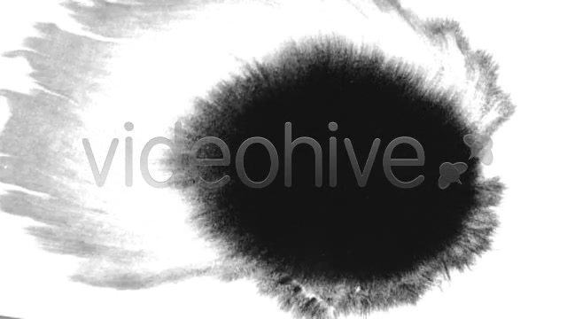 Ink Blot / Splat Series of 10 High Quality videos  Videohive 131922 Stock Footage Image 5