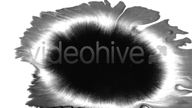 Ink Blot / Splat Series of 10 High Quality videos  Videohive 131922 Stock Footage Image 6