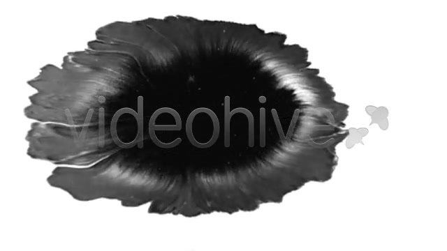 Ink Blot / Splat Series of 10 High Quality videos  Videohive 131922 Stock Footage Image 7