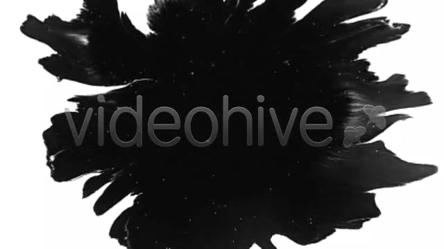 Ink Blot / Splat Series of 10 High Quality videos  Videohive 131922 Stock Footage Image 8
