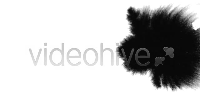 Ink Blot / Splat Series of 10 High Quality videos  Videohive 131922 Stock Footage Image 9