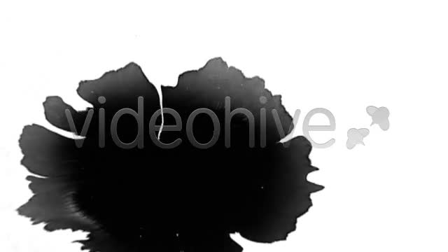 Ink Blot / Splat Series of 6 High Quality  Videohive 131813 Stock Footage Image 1