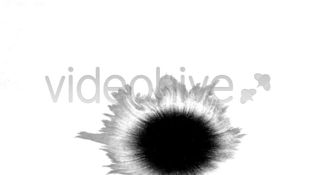 Ink Blot / Splat Series of 6 High Quality  Videohive 131813 Stock Footage Image 10