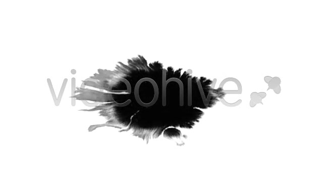 Ink Blot / Splat Series of 6 High Quality  Videohive 131813 Stock Footage Image 11