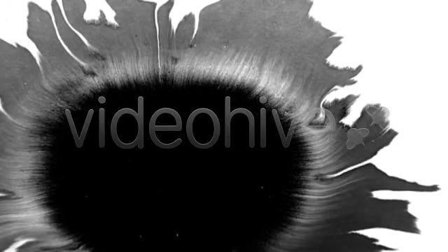 Ink Blot / Splat Series of 6 High Quality  Videohive 131813 Stock Footage Image 2