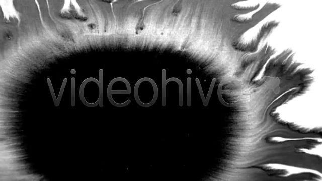 Ink Blot / Splat Series of 6 High Quality  Videohive 131813 Stock Footage Image 3