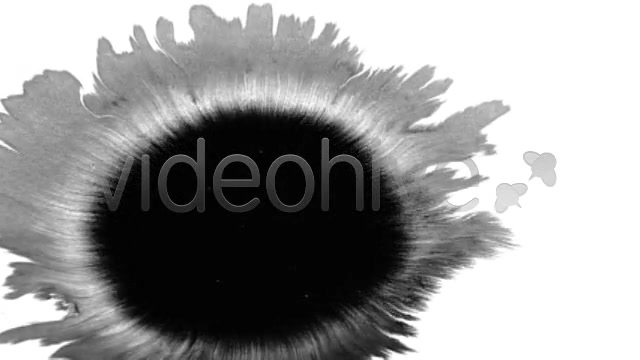 Ink Blot / Splat Series of 6 High Quality  Videohive 131813 Stock Footage Image 4