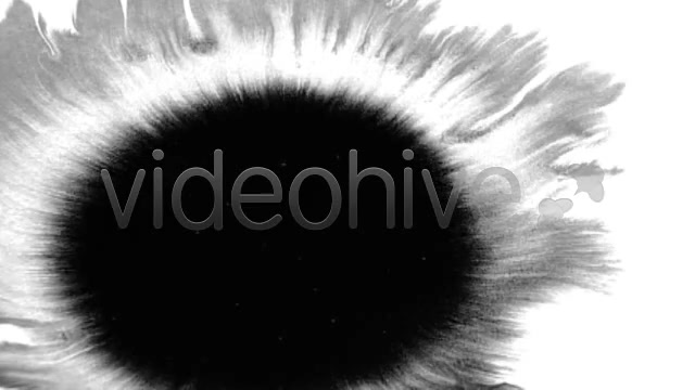 Ink Blot / Splat Series of 6 High Quality  Videohive 131813 Stock Footage Image 5
