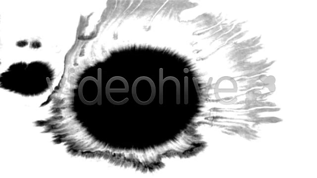 Ink Blot / Splat Series of 6 High Quality  Videohive 131813 Stock Footage Image 7
