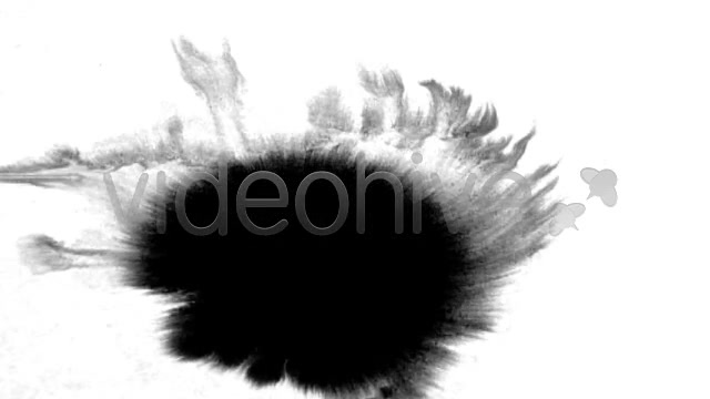 Ink Blot / Splat Series of 6 High Quality  Videohive 131813 Stock Footage Image 9