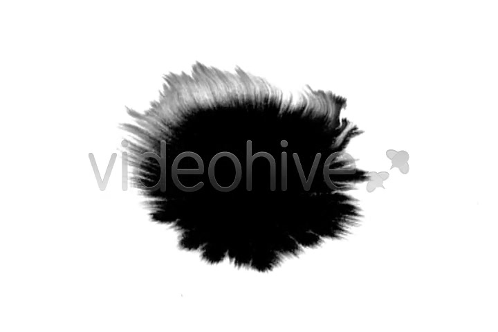 Ink Blot / Splat Series of 8  - Download Videohive 131795