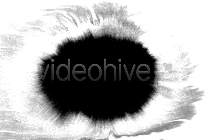 Ink Blot / Splat Series of 8  - Download Videohive 131795