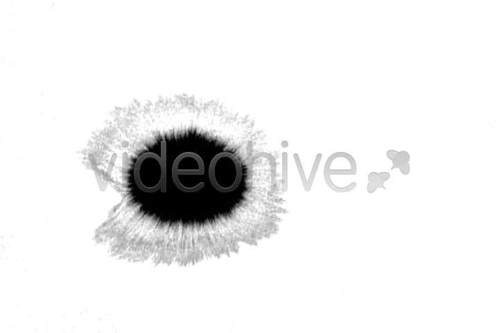 Ink Blot / Splat Series of 8  - Download Videohive 131795