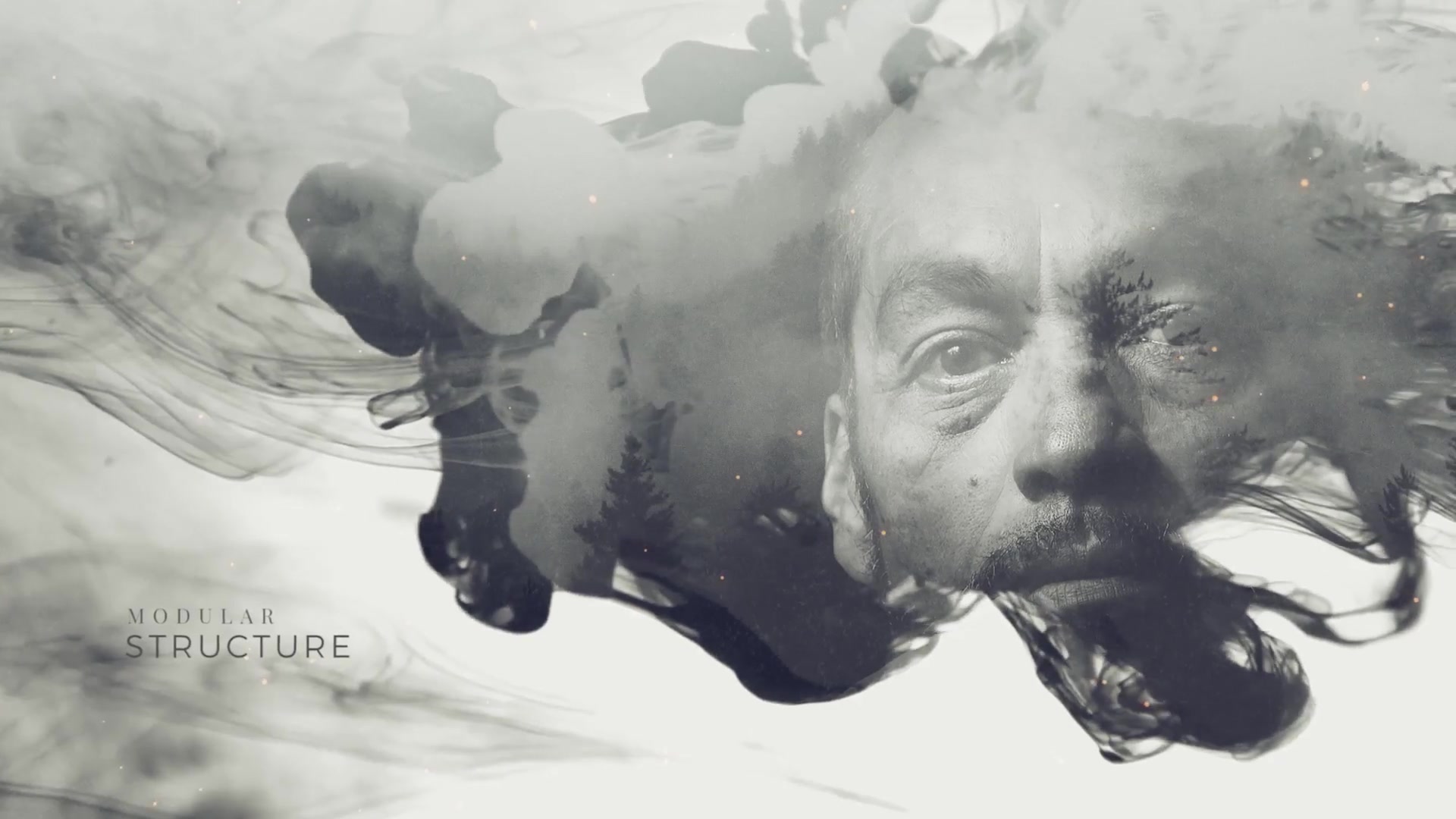 Ink Cinematic Titles - Download Videohive 21670007