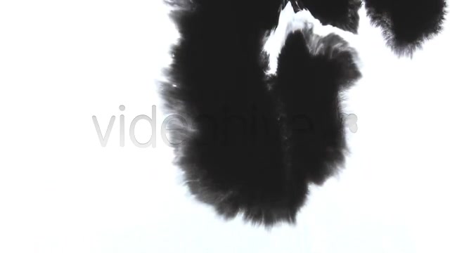 Ink Drops  Videohive 2613498 Stock Footage Image 11