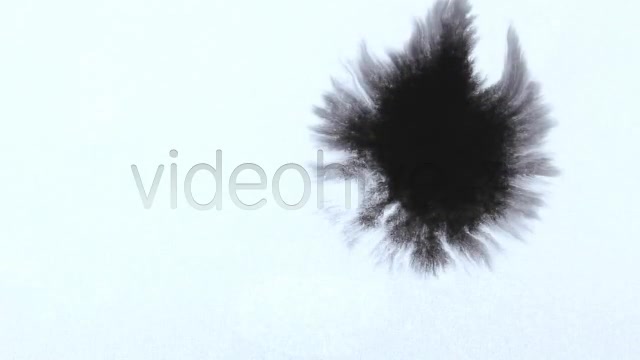Ink Drops  Videohive 2613498 Stock Footage Image 2