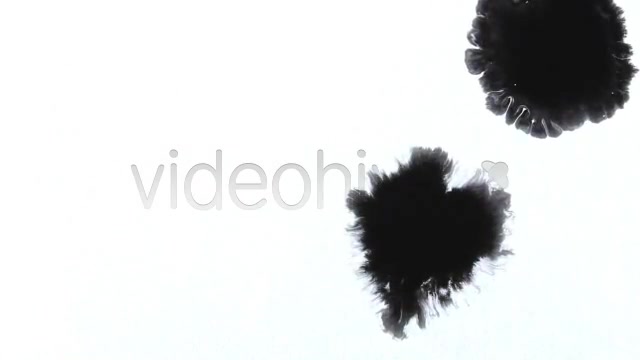 Ink Drops  Videohive 2613498 Stock Footage Image 3