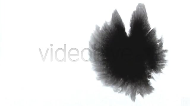 Ink Drops  Videohive 2613498 Stock Footage Image 6